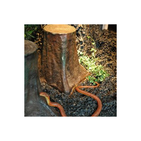 Serpent cobra 20cm