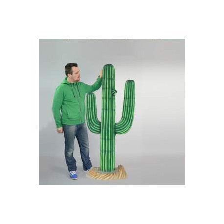 Cactus en résine