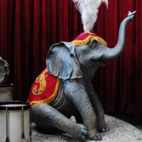 Eléphant de cirque 145cm