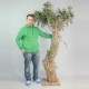 Arbre Olivier 220cm