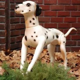 Chien Dalmatien 54cm